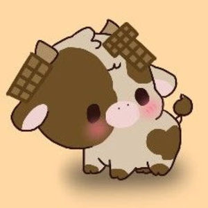 Meet your Posher, Vianne